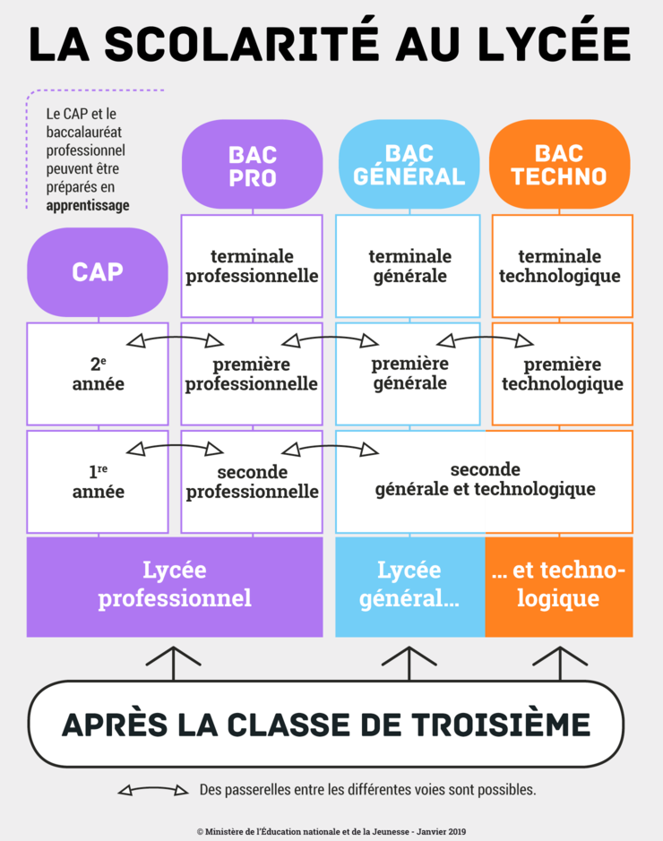 schema scolarite